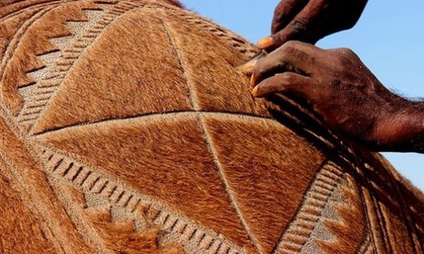 Hayran bırakan deve sanatı - Resim: 3