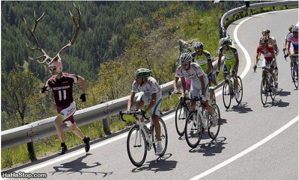Bu fotoğraflara çok güleceksiniz - Resim: 4