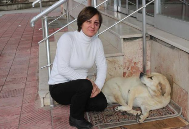 Sokak hayvanlarını besliyor diye gözünü morarttılar! - Resim: 1