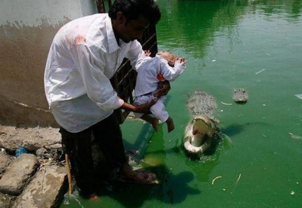 Bebeğini timsaha yem edecekken... - Resim: 1