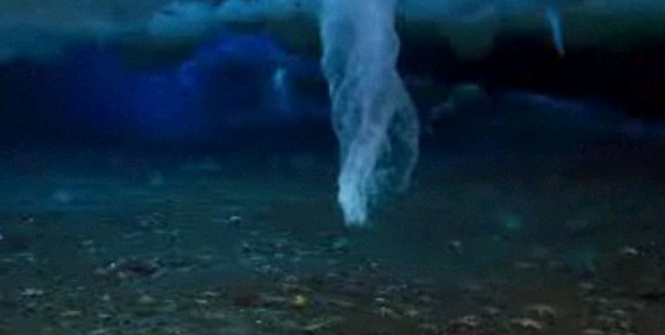 Ölüm sarkıtı ilk kez böyle görüntülendi - Resim: 4