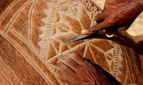 Hayran bırakan deve sanatı - Resim: 2