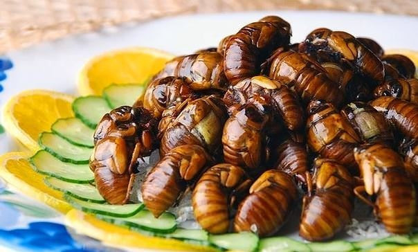 En iğrenç 10 yemek! Bunları yemek yürek ister! - Resim: 2