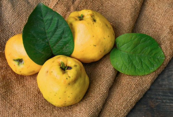 Bu meyvenin çekirdeğini kesinlikle yüzünüze sürün! Faydalarına inanamayacaksınız - Resim: 1