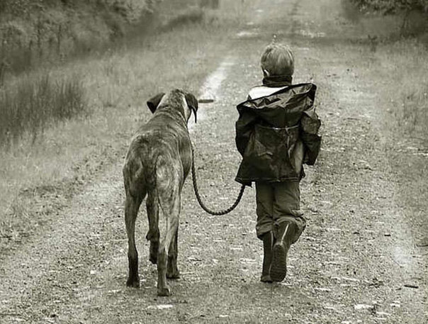 Maymun çocuk görenleri şok etti - Resim: 3