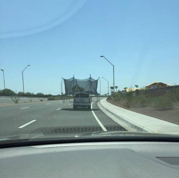 Günün en ilginç fotoğrafları - Resim: 4