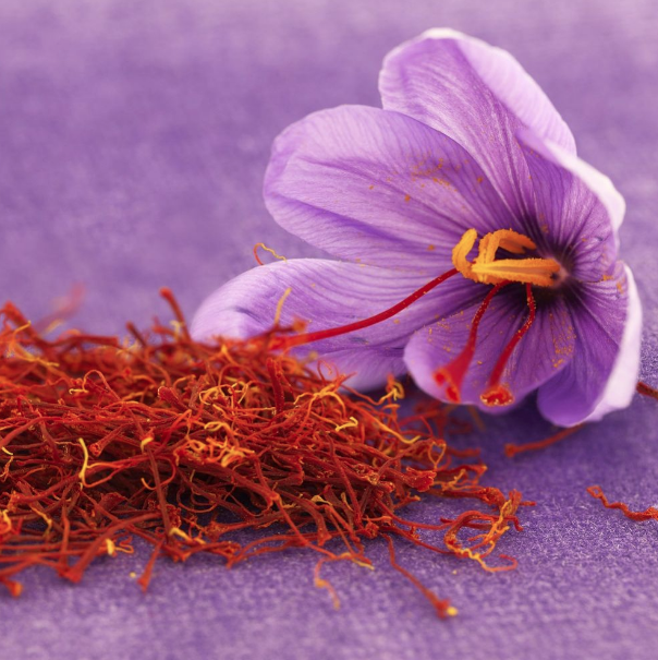 Bu çiçeğin afrodizyak etkisi var bunu koklayan kadın... - Resim: 3