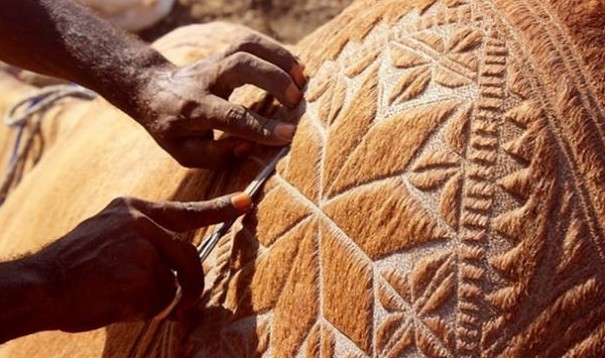 Hayran bırakan deve sanatı - Resim: 4