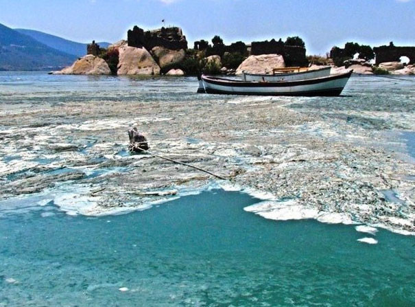 Bafa Gölü'ndeki bu manzara görenleri şok etti! - Resim: 1