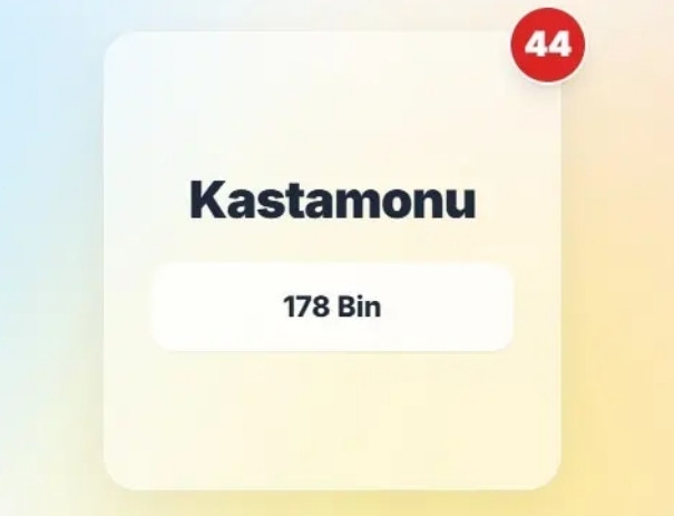 Şehir şehir araç sayıları açıklandı! Yaşadığınız şehirde kaç araç var? - Resim: 40
