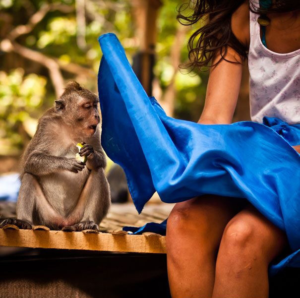 Bu fotoğrafların zamanlaması mükemmel - Resim: 4
