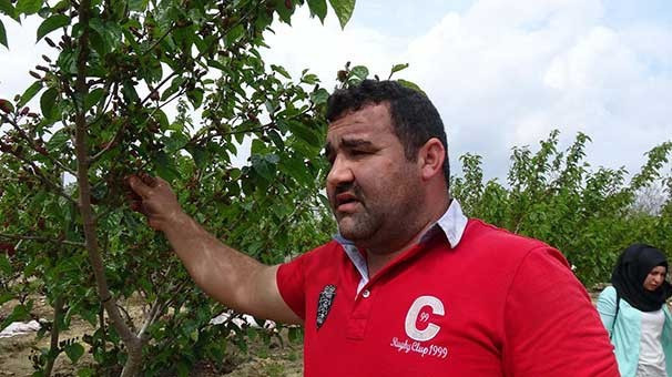 3 diplomalı adam çiftçilik yapmaya başladı ama ünlü oldu - Resim: 3