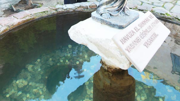 Dilek Havuzu'na atılan paralara ne oldu? - Resim: 1