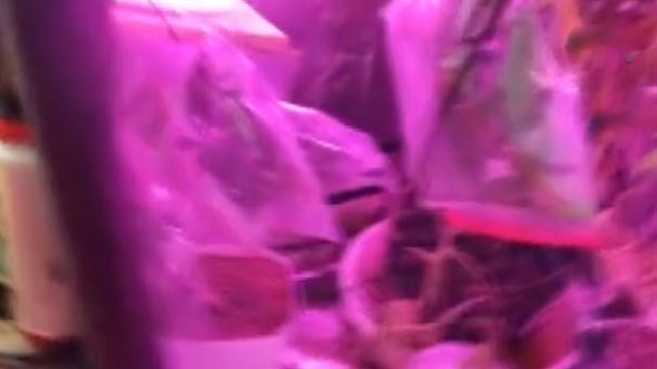 Doktor ve teknisyeni fena basıldı her şey uluorta... - Resim: 4