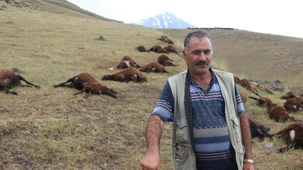 Kayalıklara sığındı, döndüğünde bu manzarayla karşılaştı - Resim: 1