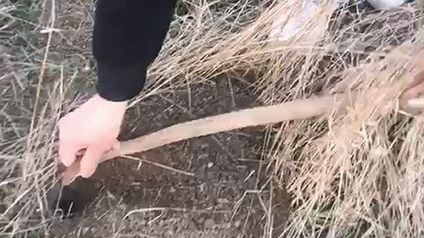Konya'da kafasından tuttuğu yılanı fare deliğine bırakan adam şaşırttı - Resim: 2