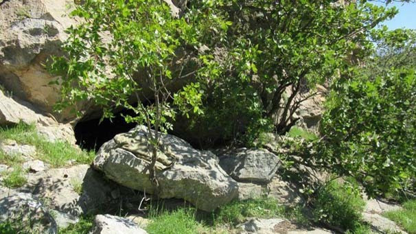 Ağaçların arkasında bulundu! PKK'nın ininden çıkanlara bakın - Resim: 4