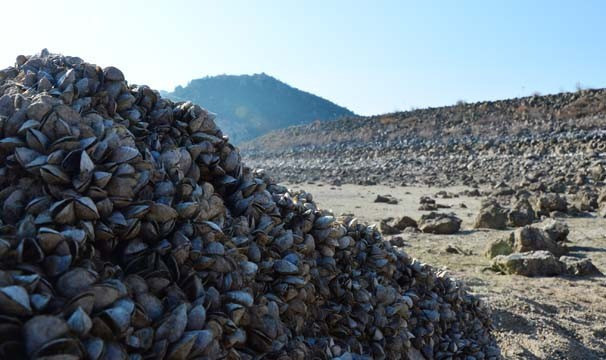 Su çekildi ortaya çıktı - Resim: 3