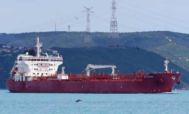 İstanbul Boğazı’nda yunus sürprizi  - Resim: 2