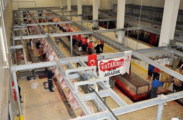 Demokrasi için bin koyun kestirdi - Resim: 4