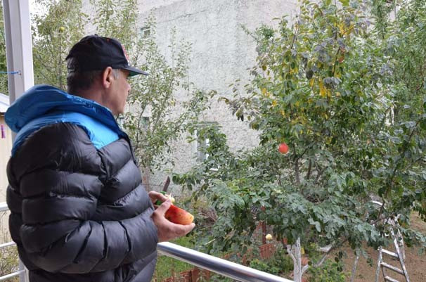 Bu meyvenin cinsini kimse bilemedi - Resim: 4