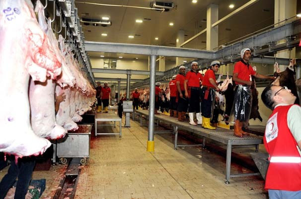 Demokrasi için bin koyun kestirdi - Resim: 2