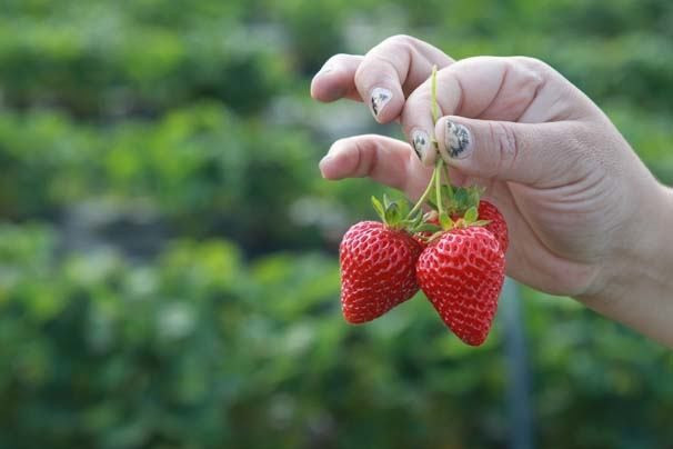 Gelin geldiği köye patron oldu herkesi kendine hayran bıraktı - Resim: 1
