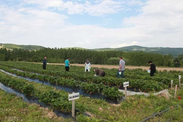 Gelin geldiği köye patron oldu herkesi kendine hayran bıraktı - Resim: 2