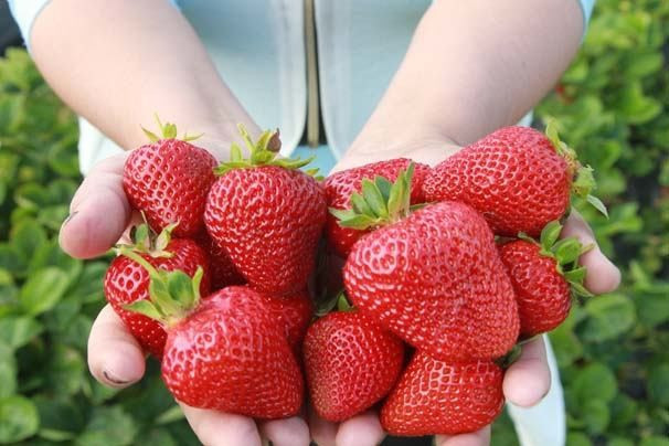 Gelin geldiği köye patron oldu herkesi kendine hayran bıraktı - Resim: 4