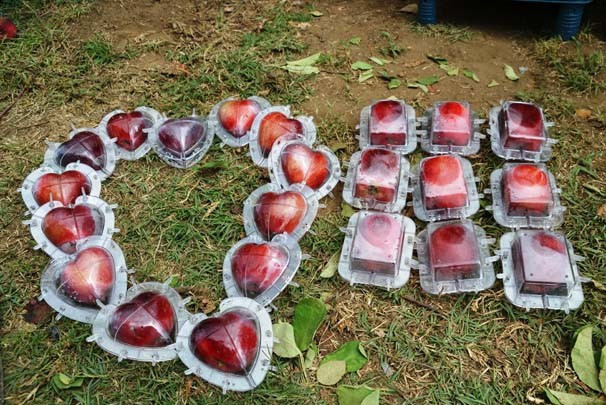 Hobisini mesleğe dönüştürdü paraya para demiyor - Resim: 1