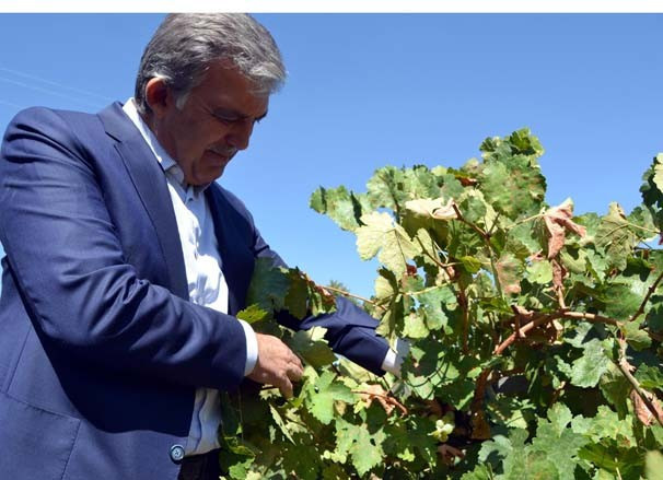 Hayrünnisa Gül aylar sonra görüntülendi işte o anlar - Resim: 4