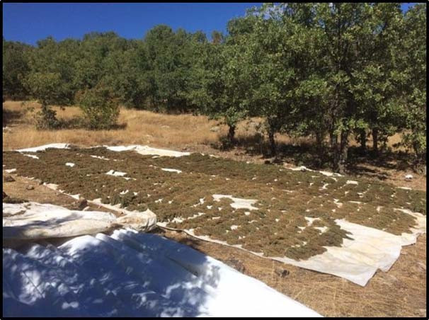 PKK'ya bir darbe daha! Lice'de asker fark etti - Resim: 2