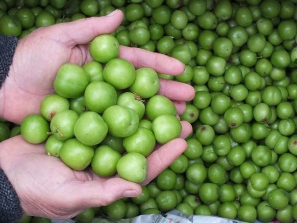 Zayıflatan 10 süper besin - Resim: 1