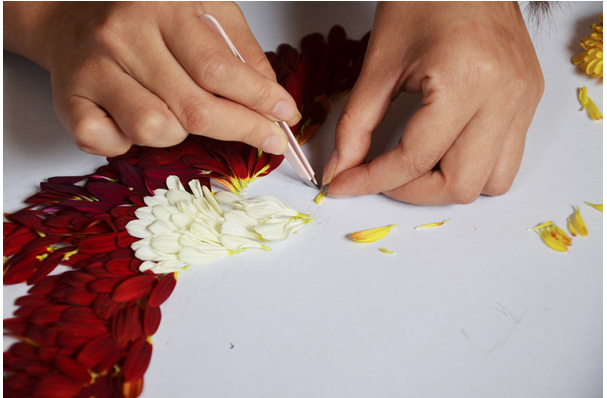 Bu kuşlar uçamıyor çünkü... - Resim: 3