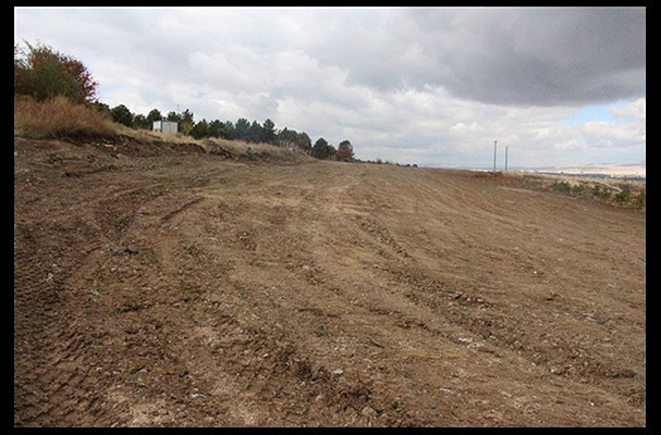 ODTÜ ormanının son hali - Resim: 1