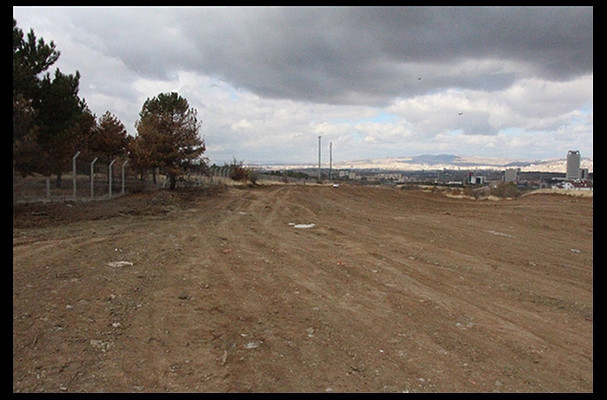 ODTÜ ormanının son hali - Resim: 3