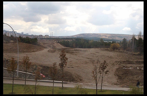 ODTÜ ormanının son hali - Resim: 4