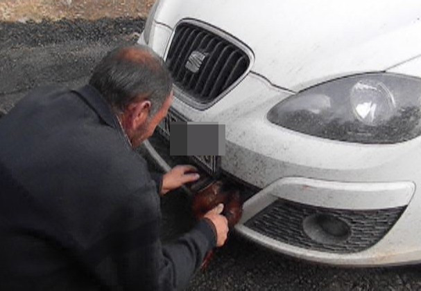 Arabanın tamponuna horoz girdi - Resim: 4