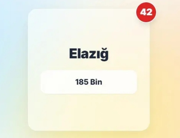 Şehir şehir araç sayıları açıklandı! Yaşadığınız şehirde kaç araç var? - Resim: 42