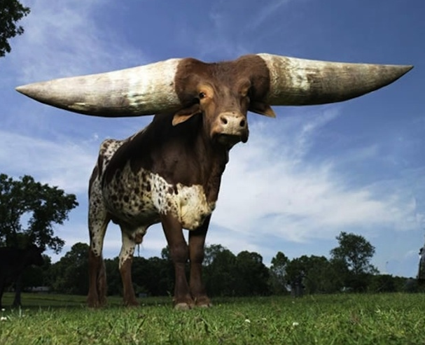 Bu karelerde Photoshop yok! - Resim: 1