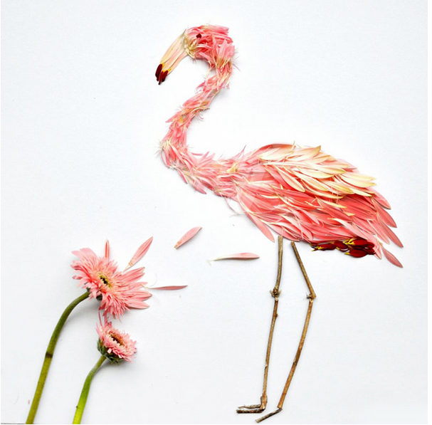 Bu kuşlar uçamıyor çünkü... - Resim: 2