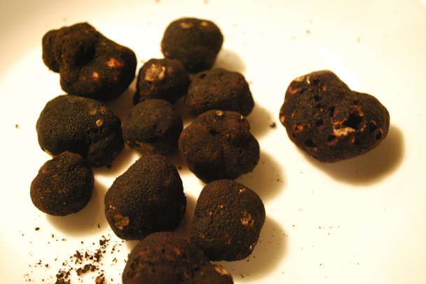 Trüf mantarı nedir faydaları neler? - Resim: 2