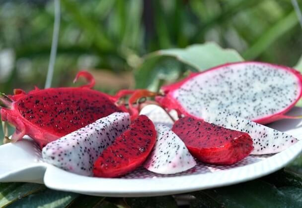 Çiftçinin yüzü güldü! Tanesi 15 liradan kapış kapış satılıyor - Resim: 1