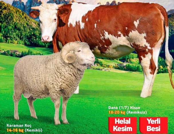 2017 Kurbanlık fiyatları ! Koyun ve dana hissesi kaç lira? - Resim: 4
