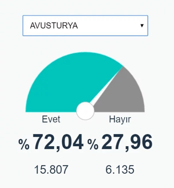 Ülke ülke yurt dışı referandum sonuçları Almanya'ya bakın - Resim: 3