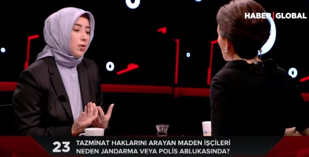 AK Parti Grup Başkanı Vekili Özlem Zengin: Bütçeden sonra hayvan hakları kanunumuzu yapacağız - Resim: 0