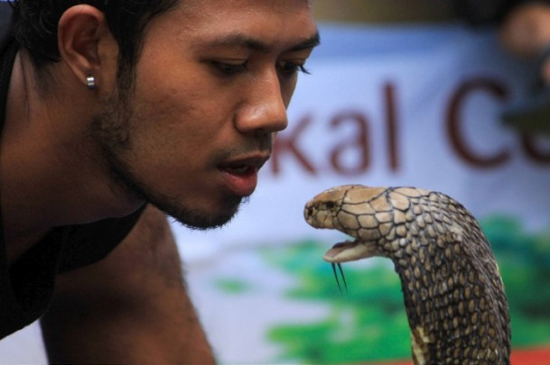 Böyle dostluk olur mu? Büyük cesaret! - Resim: 1