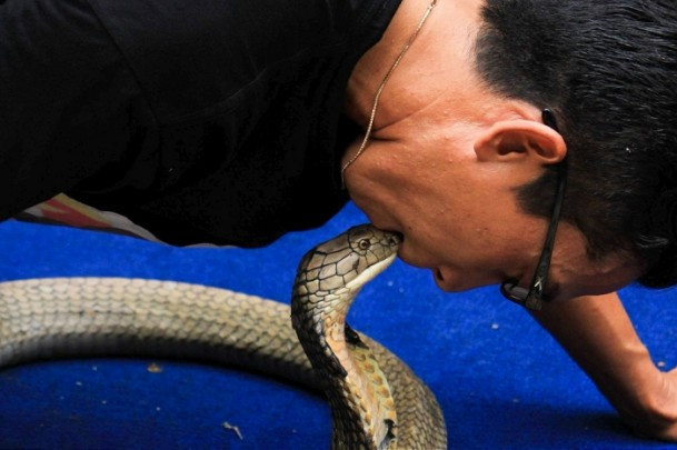 Böyle dostluk olur mu? Büyük cesaret! - Resim: 2