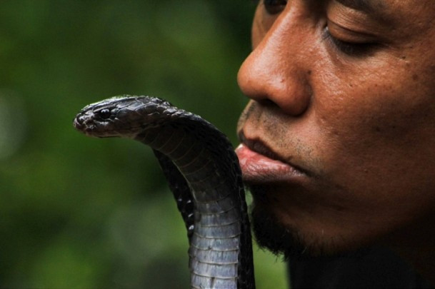 Böyle dostluk olur mu? Büyük cesaret! - Resim: 4