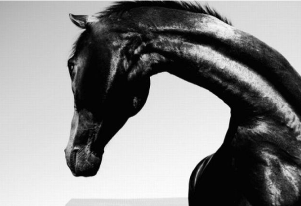 National Geographic'in en iyileri - Resim: 4